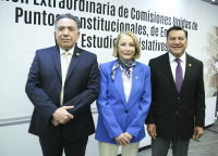 Reunión Extraordinaria de la Comisiones Unidas de Puntos Constitucionales; de Energía; y de Estudios Legislativos, 14 de octubre 2024